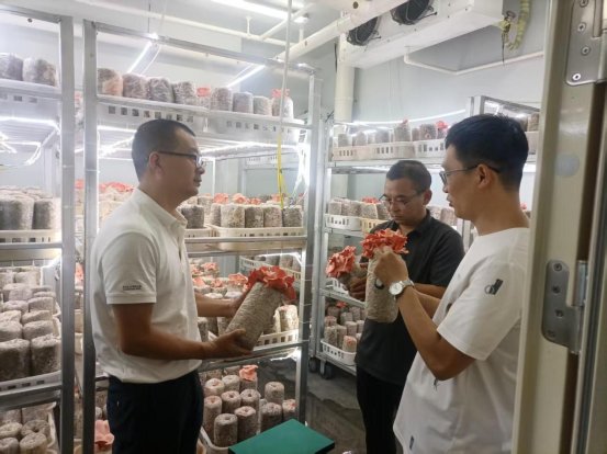 科研活動賦能食用農(nóng)產(chǎn)品研發(fā) 驅(qū)動農(nóng)業(yè)現(xiàn)代化與健康飲食新變革