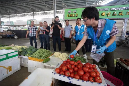 人大代表政協(xié)委員現(xiàn)場(chǎng)見(jiàn)證，食用農(nóng)產(chǎn)品抽檢合格率百分百的背后